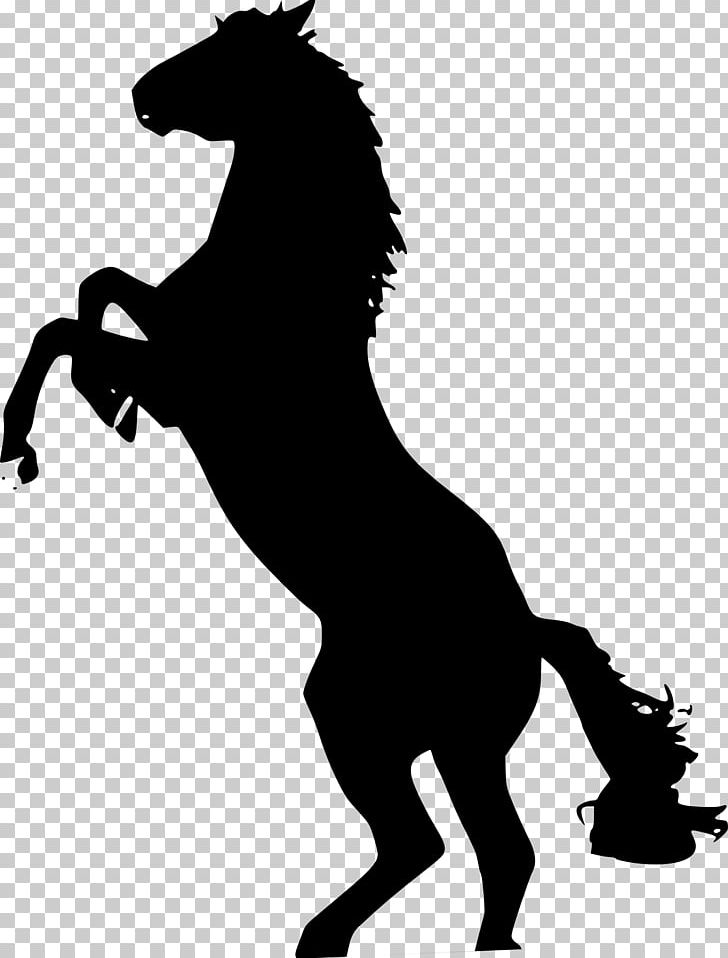 Mustang Stallion The Behaviour Of The Horse PNG, Clipart, Black, Black And White, Colt, Desktop Wallpaper, Download Free PNG Download