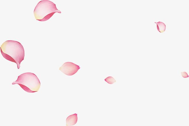 Pink Floating Rose Petals PNG, Clipart, Decoration, Floating Clipart, Floating Clipart, Petal, Petals Free PNG Download
