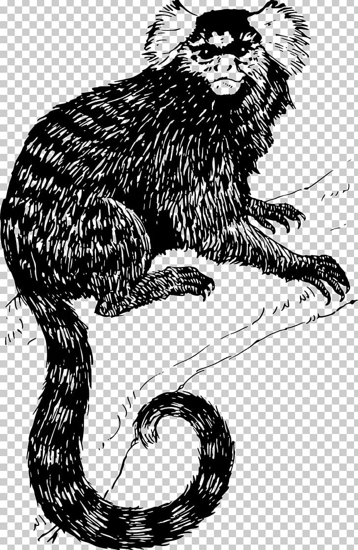 Drawing Monkey PNG, Clipart, Animal Drawing, Animals, Art, Big Cats, Black And White Free PNG Download