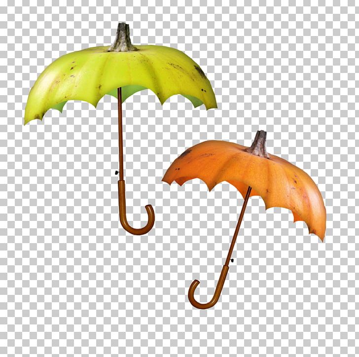 Umbrella Clothing Accessories PNG, Clipart, Blog, Bookmark, Clothing Accessories, Delicious, Fashion Accessory Free PNG Download