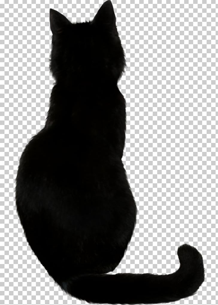 Bombay Cat Portable Network Graphics Kitten PNG, Clipart, Animals, Black, Black And White, Black Cat, Bombay Free PNG Download