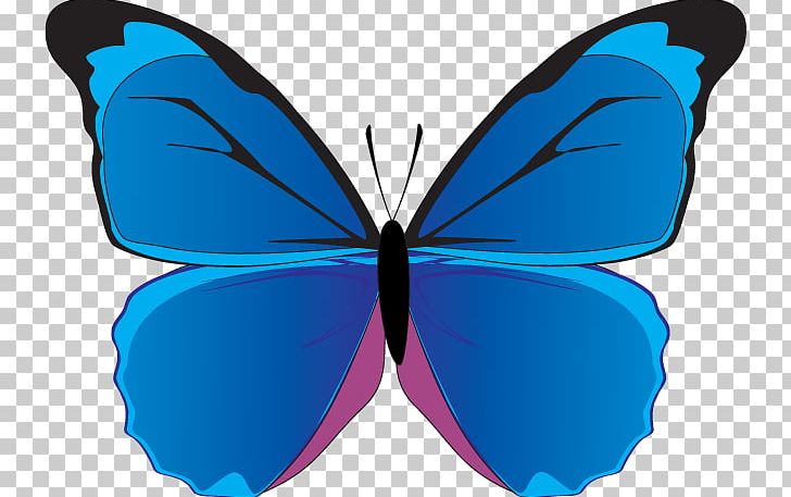 Butterfly Blue Morpho PNG, Clipart, Arthropod, Blue, Brush Footed Butterfly, Butterfly, Color Free PNG Download