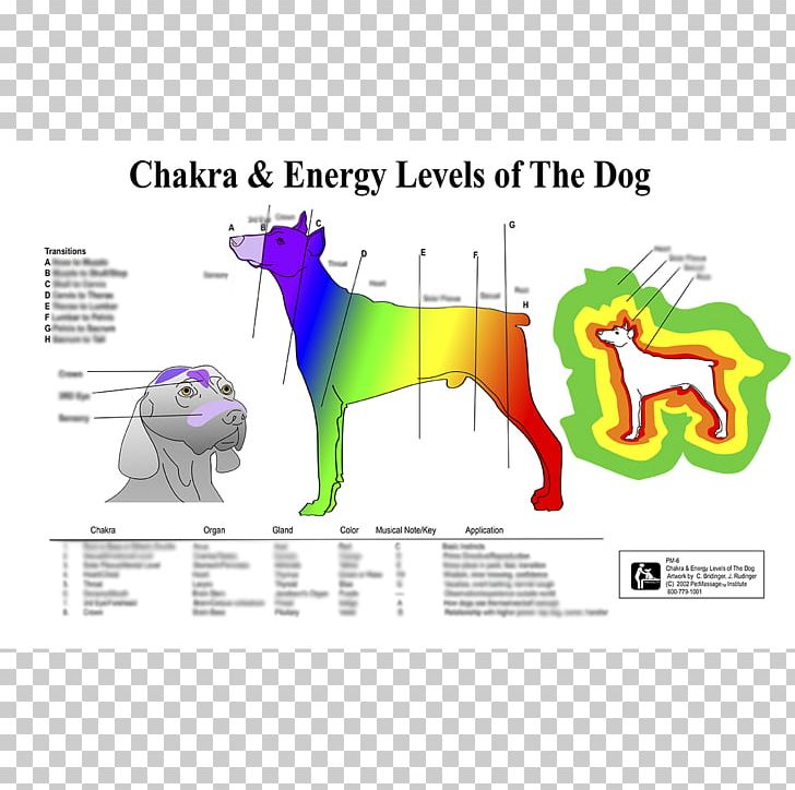 Dog Chakra Horse Pet Reiki PNG, Clipart, Animals, Area, Art, Aura, Brand Free PNG Download