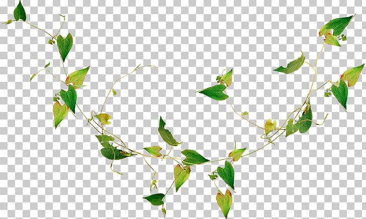 Leaf Render Desktop Nature Estethicoiff PNG, Clipart, Branch, Clickbd, Computer Wallpaper, Desktop Wallpaper, Estethicoiff Free PNG Download