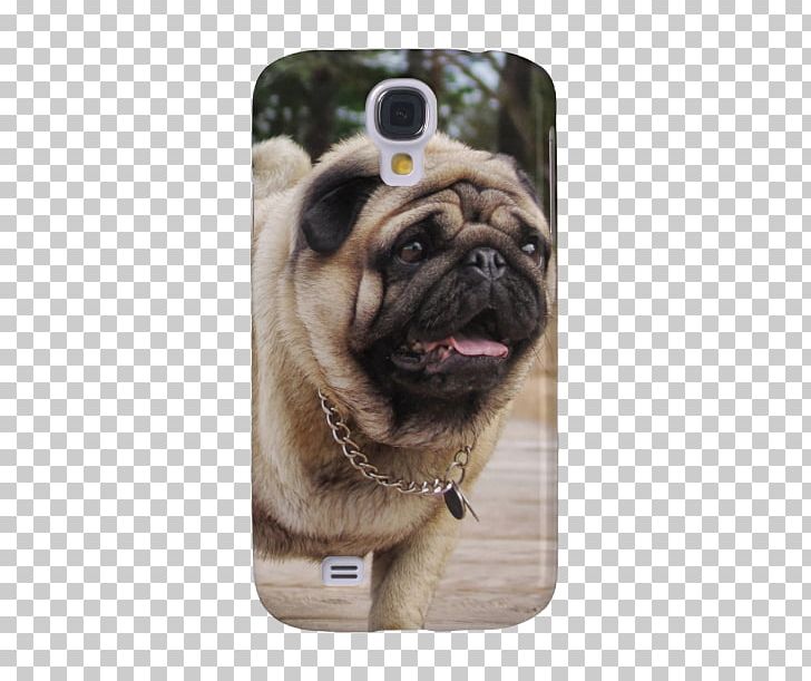 Pug Samsung Galaxy S5 Dog Breed IPhone 5s Nexus 5 PNG, Clipart, Carnivoran, Dog, Dog Breed, Dog Breed Group, Dog Like Mammal Free PNG Download
