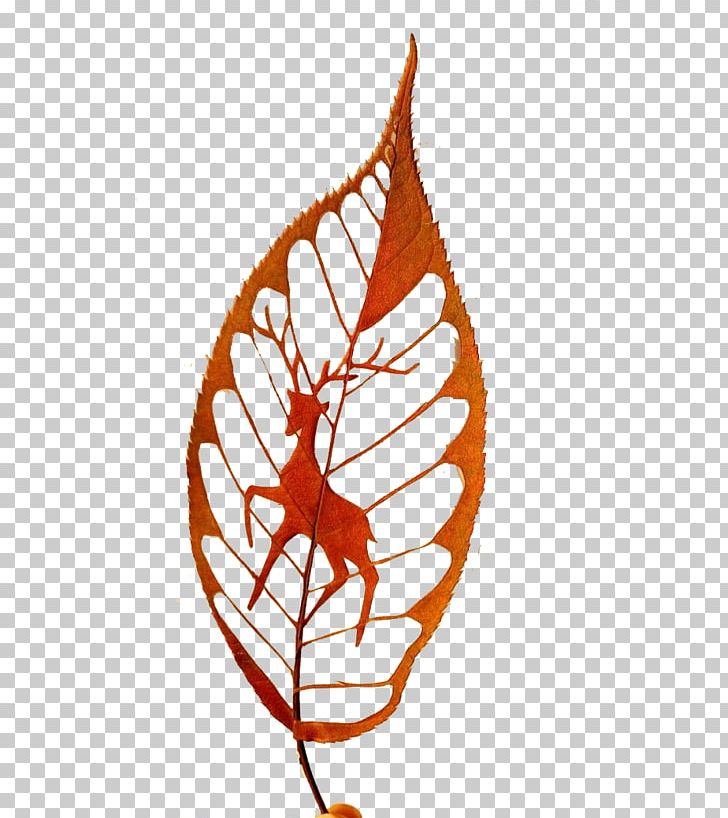 Leaf Papercutting Illustration PNG, Clipart, Animals, Art, Autumn Leaves, Banana Leaves, Bulb Free PNG Download