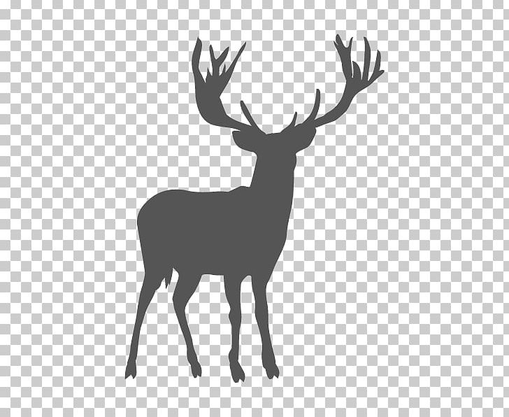 Reindeer White-tailed Deer Elk Antler PNG, Clipart, Antler, Black, Black And White, Cartoon, Deer Free PNG Download
