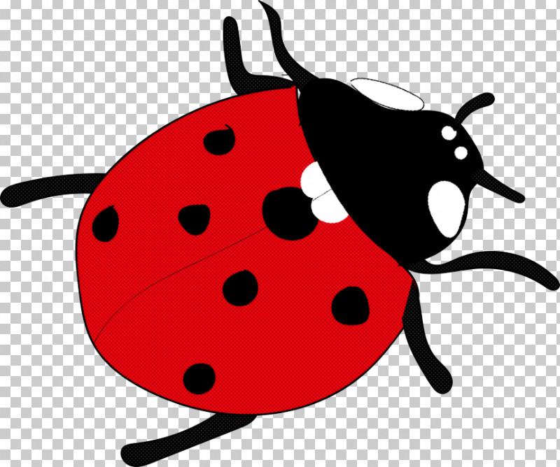 Ladybug PNG, Clipart, Beetle, Insect, Ladybug Free PNG Download