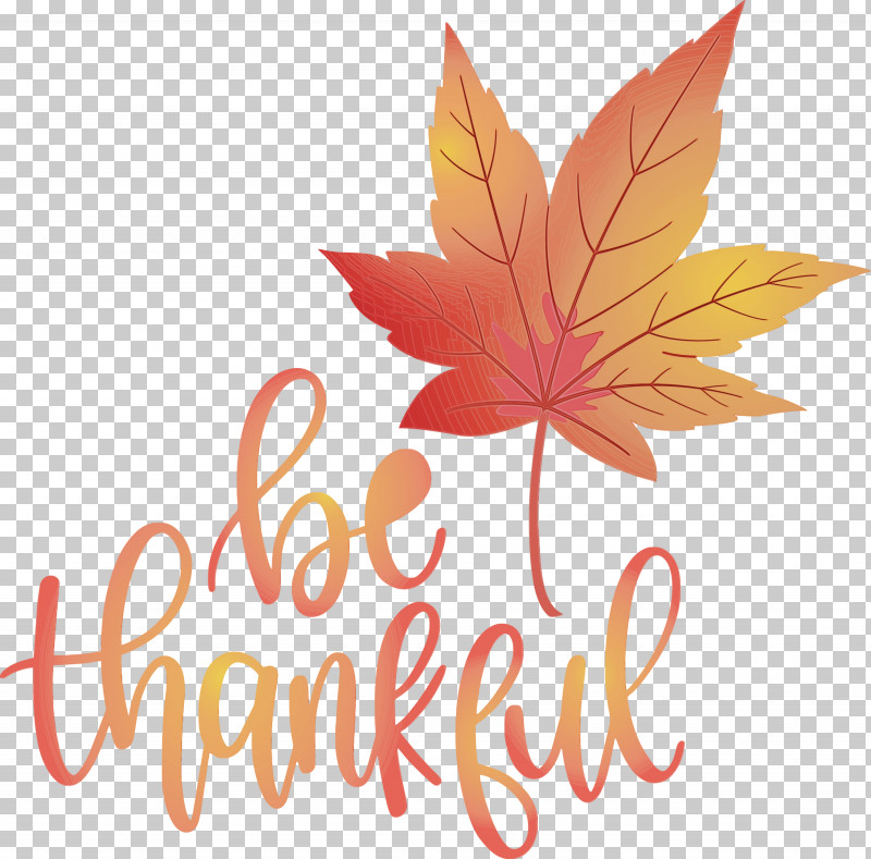 Maple Leaf PNG, Clipart, Be Thankful, Flower, Geometry, Give Thanks, Leaf Free PNG Download