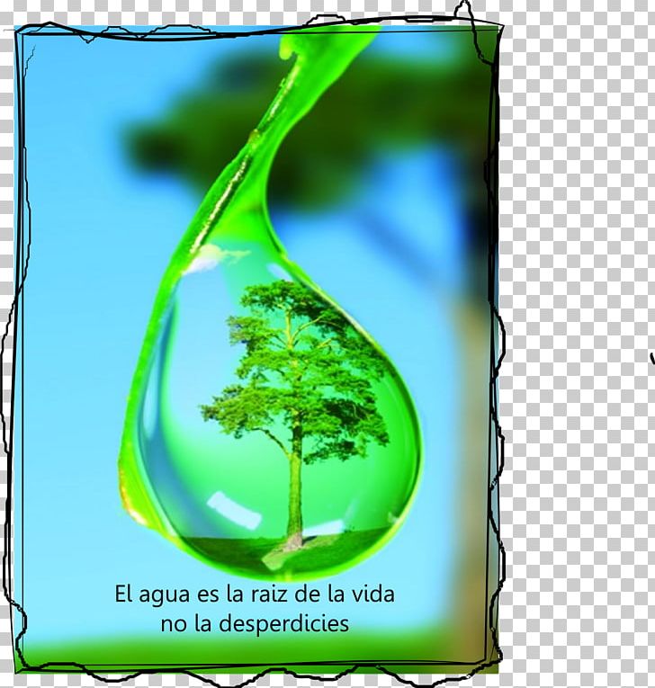 Drew Drop And The Water Cycle Drew Drop And The Water Cycle Tree Dew PNG, Clipart, Cleaning, Condensation, Dew, Drinking Water, Drop Free PNG Download