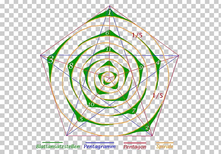 Golden Ratio Angle Sacred Geometry Embryophyta PNG, Clipart, Angle, Area, Botanic, Botany, Circle Free PNG Download