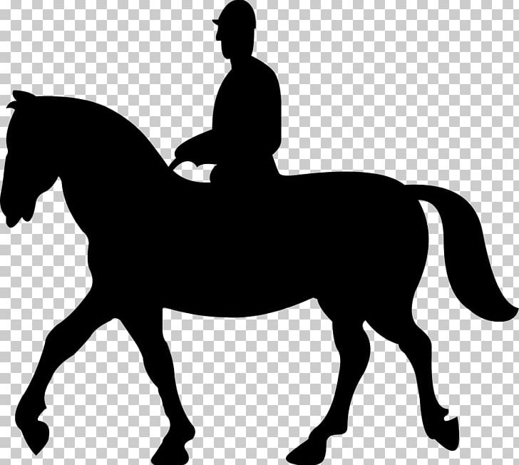 Horse Pony Equestrian PNG, Clipart, Animals, Black, Bridle, Canter And Gallop, Collection Free PNG Download
