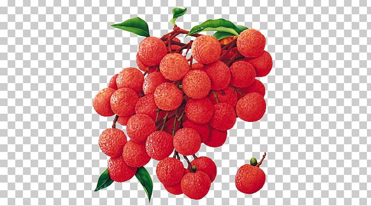 Lychee Fruit Flavor Powder Food PNG, Clipart, 3d Creative Handpainted, Accessory Fruit, Acerola Family, Cartoon, Cherry Free PNG Download