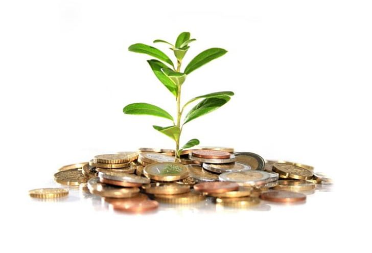 Money Devil's Ivy Investment Bank Plant PNG, Clipart, Bank, Coin, Debt, Devils Ivy, Euro Free PNG Download