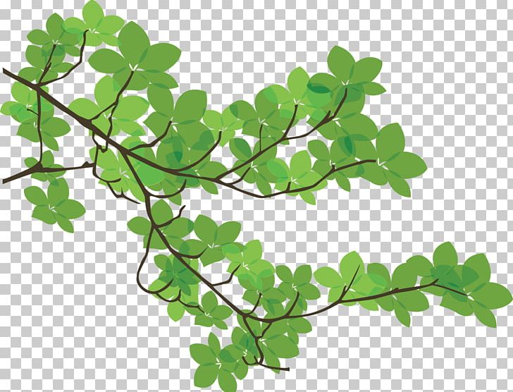 tree branch with leaves clip art