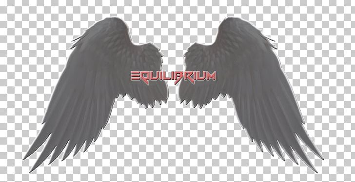 Castiel Angel Wings PNG, Clipart, Angel, Beak, Black And White, Castiel, Crash Free PNG Download