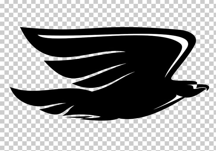 Eagle PNG, Clipart, Animals, Beak, Bird, Black, Black And White Free PNG Download