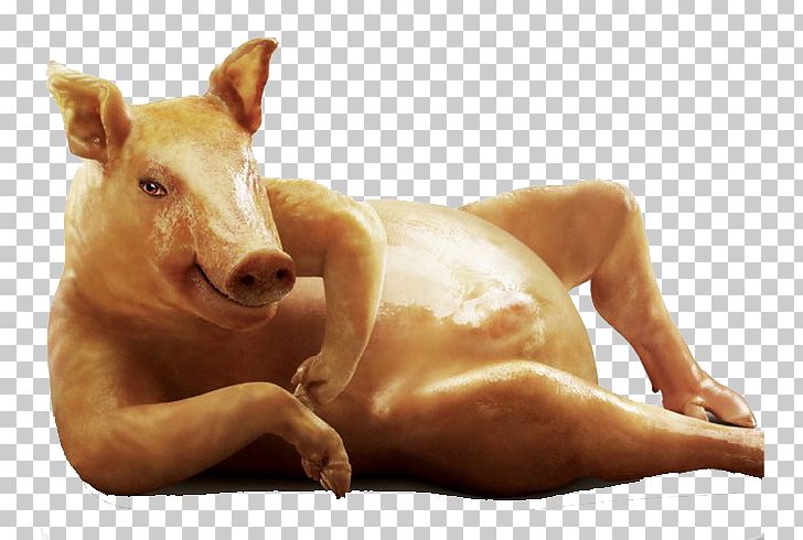 Meme Painting Domestic Pig Woman Girl PNG, Clipart, Advertising, Animals, Annoyance, Boy, Creative Free PNG Download