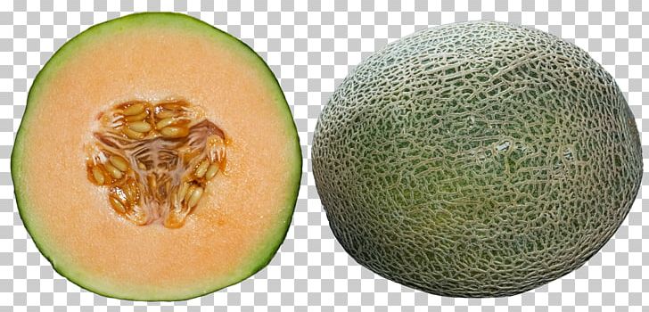 Cantaloupe Honeydew Melon PNG, Clipart, Cantaloupe, Cucumber, Cucumber Gourd And Melon Family, Food, Fruit Free PNG Download