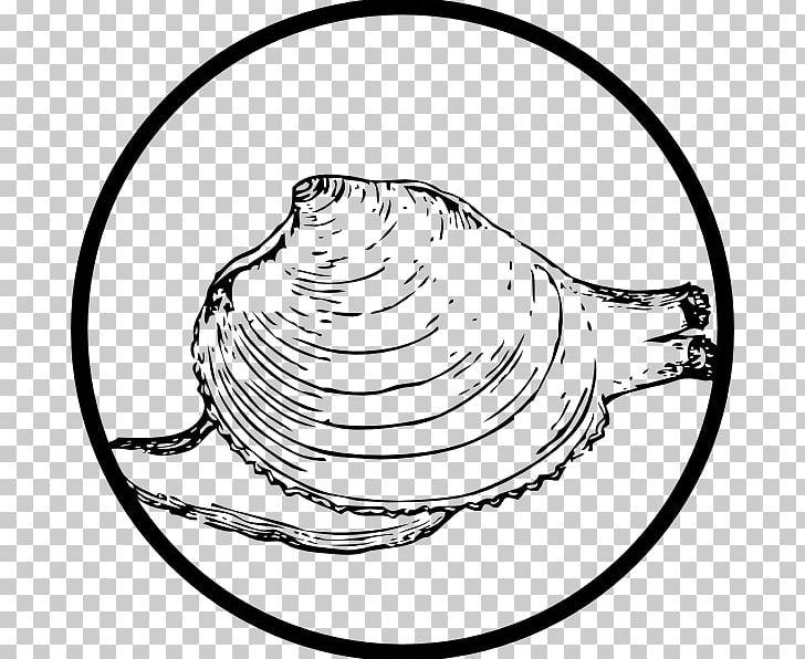 Clam Mussel Seashell Illustration PNG, Clipart, Area, Artwork, Black And White, Circle, Clam Free PNG Download