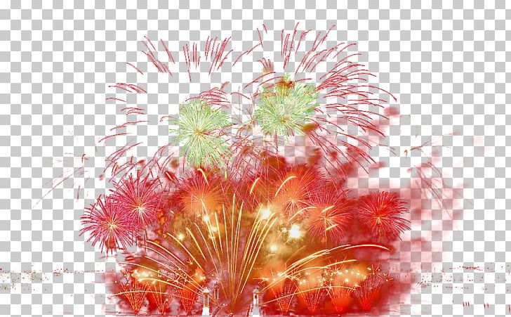 Fireworks Festival PNG, Clipart, Computer Wallpaper, Design Element, Explosion, Firework, Flower Free PNG Download