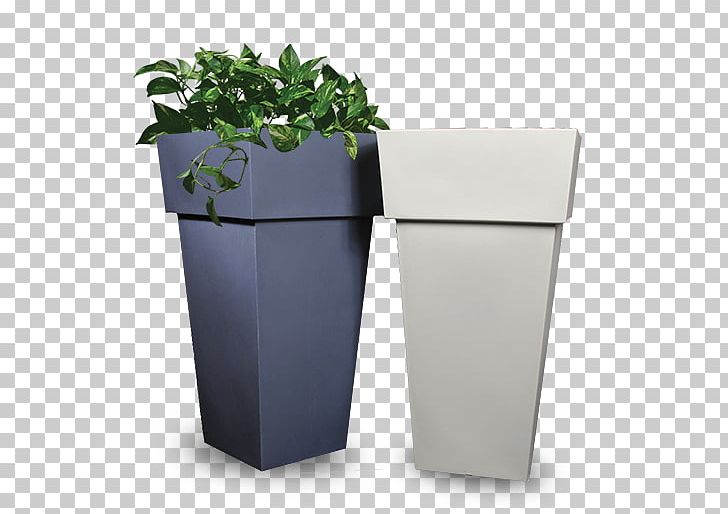 Flowerpot Vine Plant Devil's Ivy Leaf PNG, Clipart,  Free PNG Download