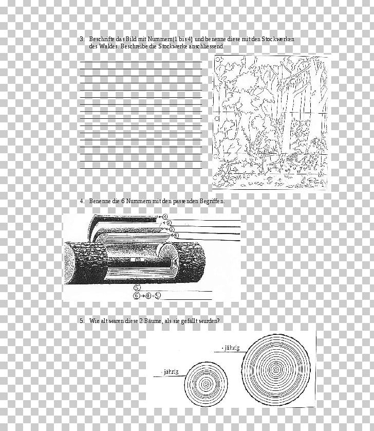 Forest Storey Paper Sketch PNG, Clipart, Angle, Black And White, Diagram, Drawing, First Principle Free PNG Download