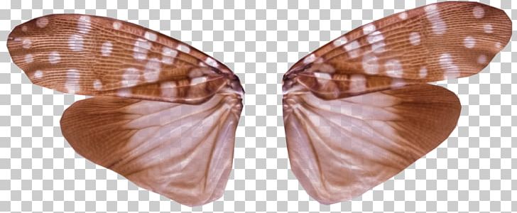 Butterfly Insect Wing PNG, Clipart, Alpha Compositing, Arthropod Cuticle, Body Jewelry, Butterfly, Dragonfly Free PNG Download