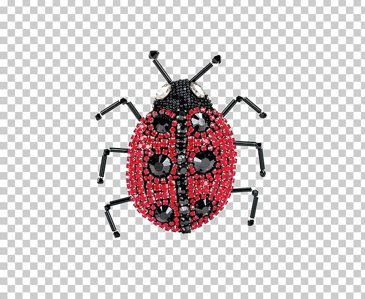 Insect PNG, Clipart, Animals, Arthropod, Insect, Invertebrate, Membrane Winged Insect Free PNG Download