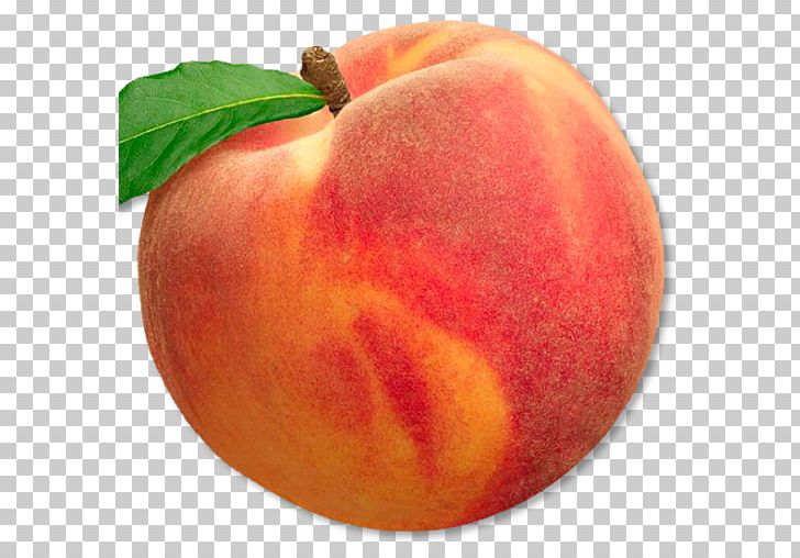 Peach Fruit Drupe Food Apple PNG, Clipart, Apple, Apricot, Computer Icons, Dewberry, Drupe Free PNG Download