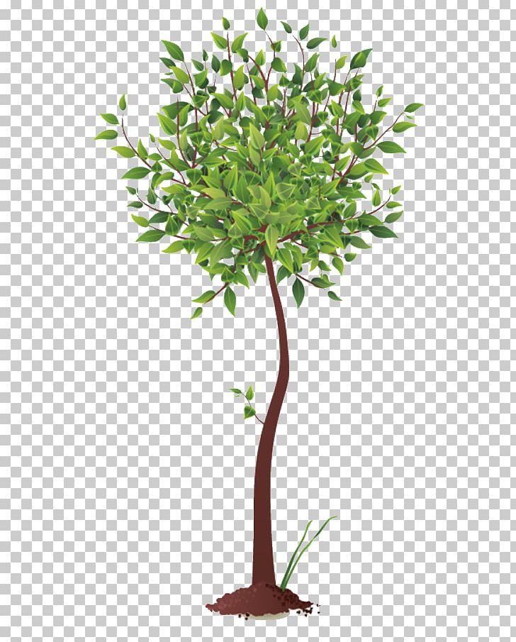 Root Tree PNG, Clipart, Branch, Flowerpot, Leaf, Nature, Plant Free PNG Download