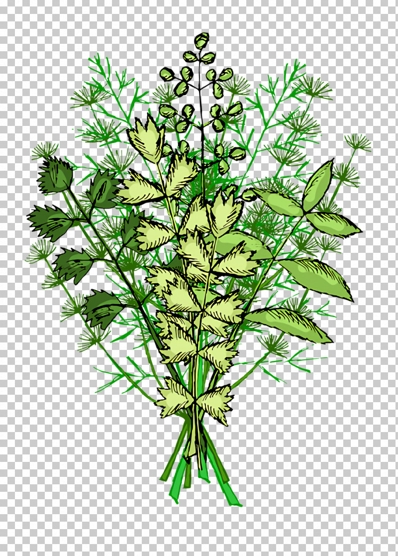 Plant Stem Herbal Medicine Herb Tree Plants PNG, Clipart, Biology, Herb, Herbal Medicine, Plants, Plant Stem Free PNG Download