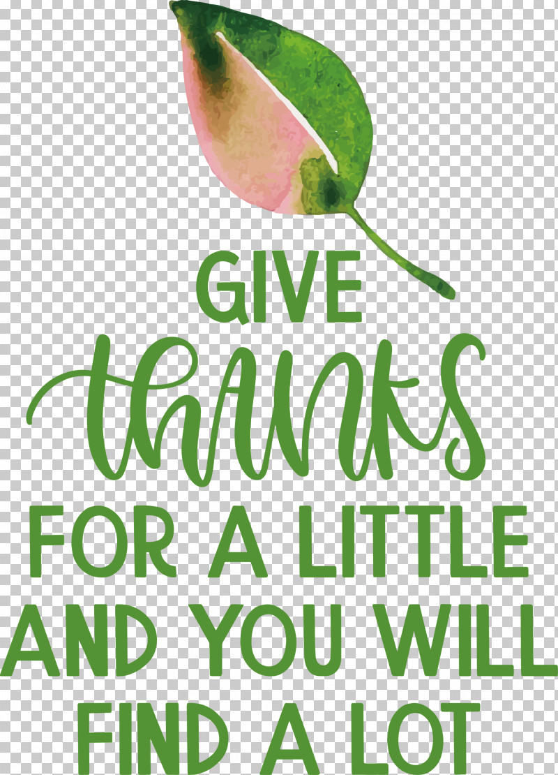 Give Thanks Thanksgiving PNG, Clipart, Biology, Fruit, Give Thanks, Leaf, Meter Free PNG Download