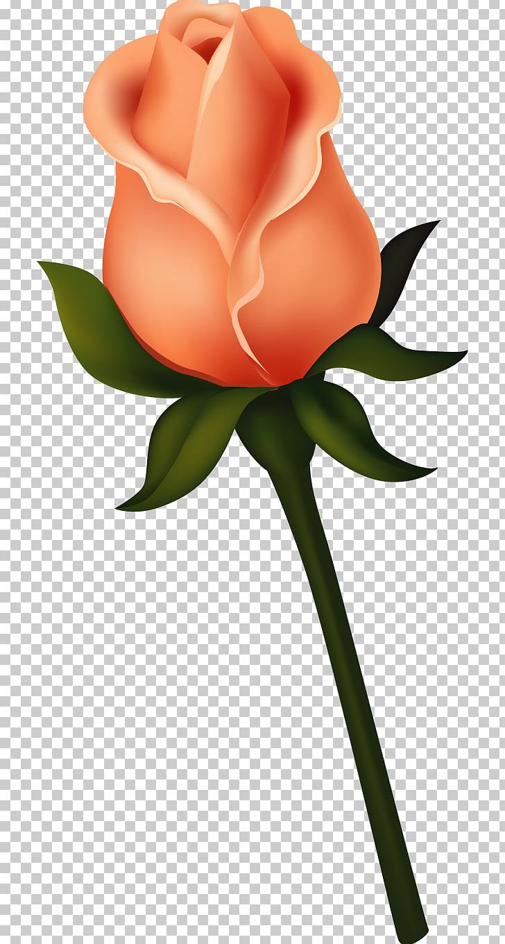 Black Rose Bud PNG, Clipart, Black Rose, Blue Rose, Bud, Cut Flowers, Decoupage Free PNG Download