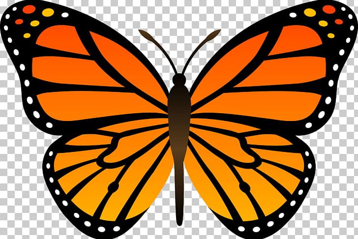 Butterfly Cartoon PNG, Clipart, Animation, Artwork, Beautiful, Biological  Life Cycle, Brush Footed Butterfly Free PNG Download