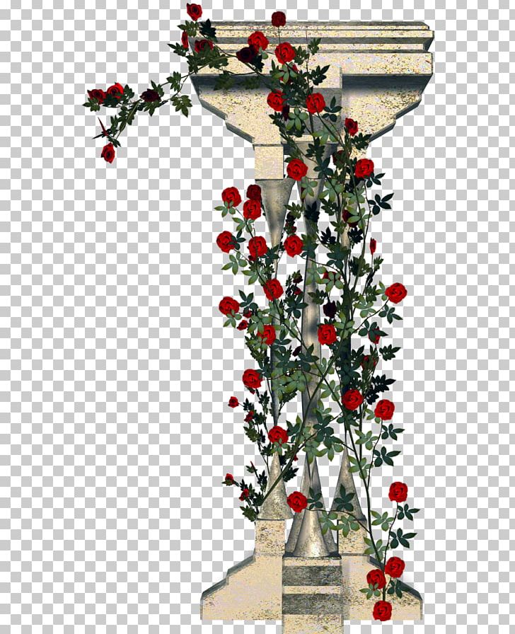 Garden Roses Column Rambler-Rose Floral Design PNG, Clipart, Aquifoliaceae, Architecture, Branch, Christmas Decoration, Column Free PNG Download