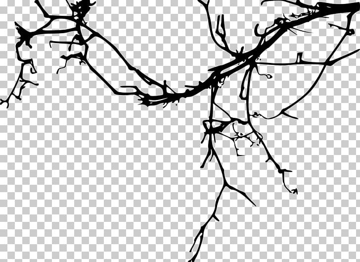 Tree Branch Silhouette Drawing PNG, Clipart, Area, Art, Artwork, Black, Black And White Free PNG Download