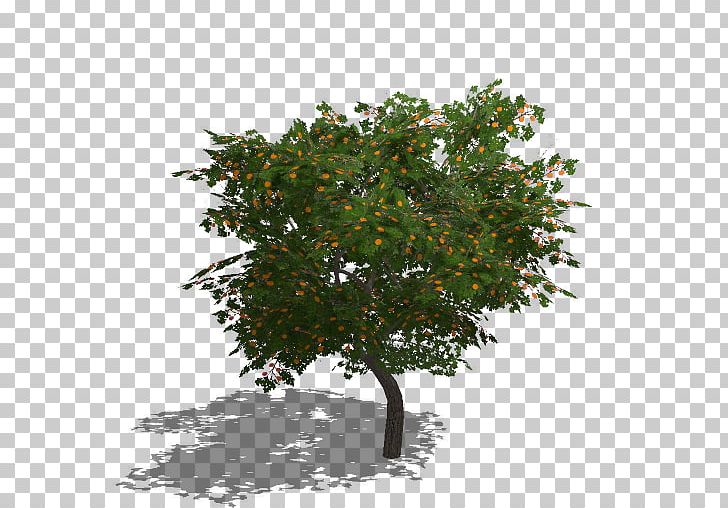 Branch Farming Simulator 17 Fruit Tree Water PNG, Clipart, Apple Orchard, Branch, Cloud, Farm, Farming Simulator Free PNG Download