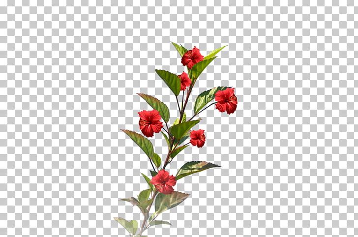 Cut Flowers Floral Design Alstroemeriaceae PNG, Clipart, 31 October, Alstroemeriaceae, Art, Branch, Com Free PNG Download