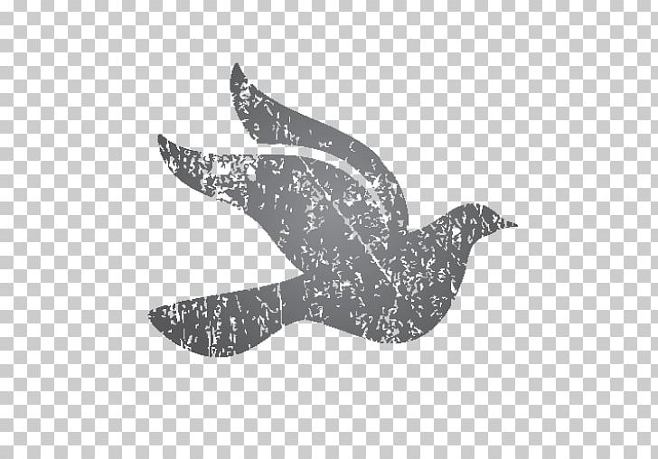 Dolphin Feather Beak White .cf PNG, Clipart, Animals, Beak, Bird, Black And White, Dolphin Free PNG Download