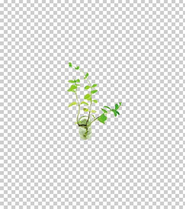 Mentha Spicata PNG, Clipart, Area, Computer Graphics, Computer Icons, Design, Download Free PNG Download