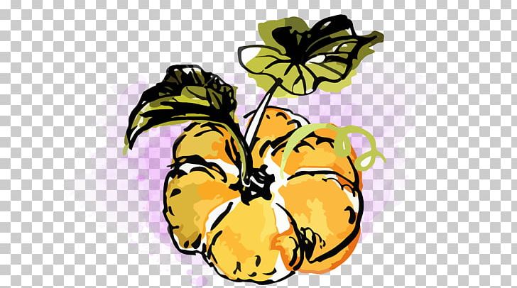 Pumpkin Insect Butterfly Pollinator Halloween PNG, Clipart, Art, Butterfly, Flower, Flowering Plant, Food Free PNG Download