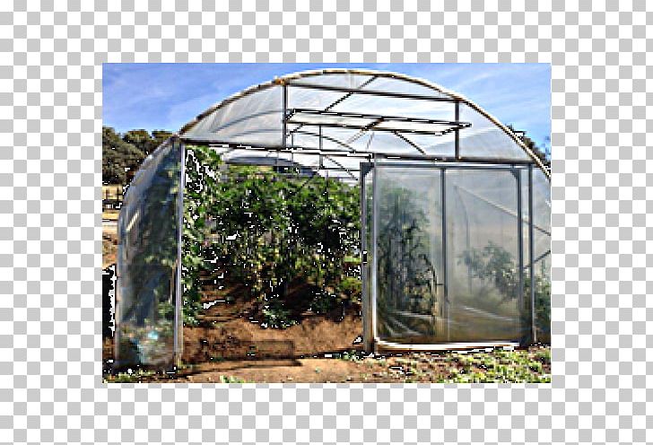 Shade Canopy Greenhouse Shed PNG, Clipart, Arch, Canopy, Greenhouse, Huerto, Others Free PNG Download