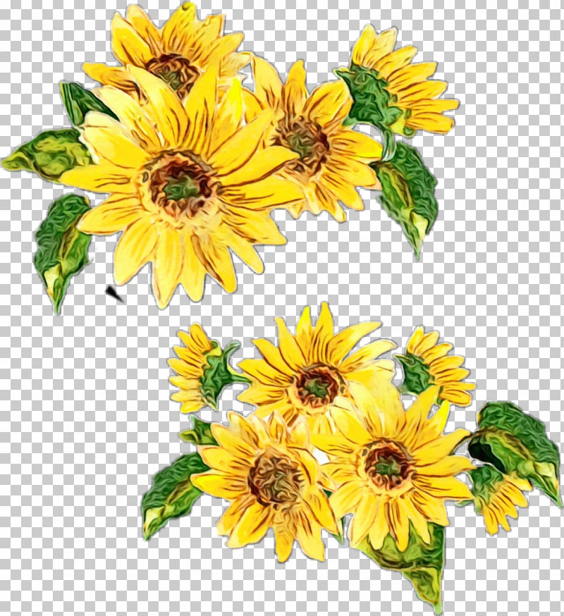 Floral Design PNG, Clipart, Beauty, Cut Flowers, Enterprise, Fashion, Floral Design Free PNG Download