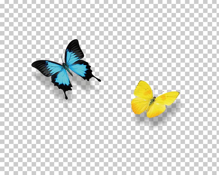 Blanket Bodybuilding Icon PNG, Clipart, Blanket, Bodybuilding, Body Jewelry, Butterflies, Butterfly Free PNG Download