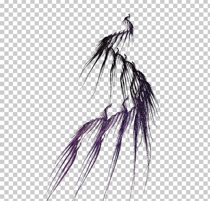 /m/02csf Drawing Illustration Neck PNG, Clipart, 3d Background, Drawing, Feather, Invertebrate, M02csf Free PNG Download