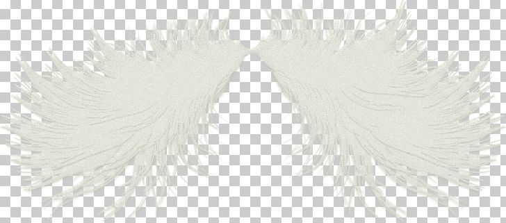 White Eyelash Fur Line PNG, Clipart, Art, Bee, Black And White, Eye, Eyelash Free PNG Download