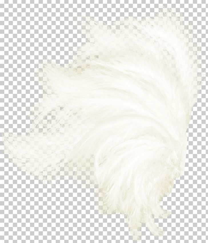 Fur Textile Pattern PNG, Clipart, Angel Wings, Beauty, Beauty Salon, Christmas Decoration, Decoration Free PNG Download