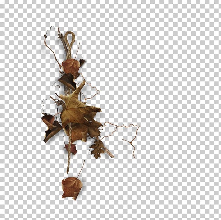 Leaf Others Copyright PNG, Clipart, 8 B, 1000000, Copyright, Deadwood, Download Free PNG Download