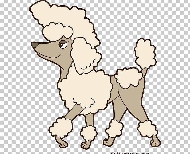 Toy Poodle Your Puppy PNG, Clipart, Animal Figure, Area, Black And White, Breed, Carnivoran Free PNG Download